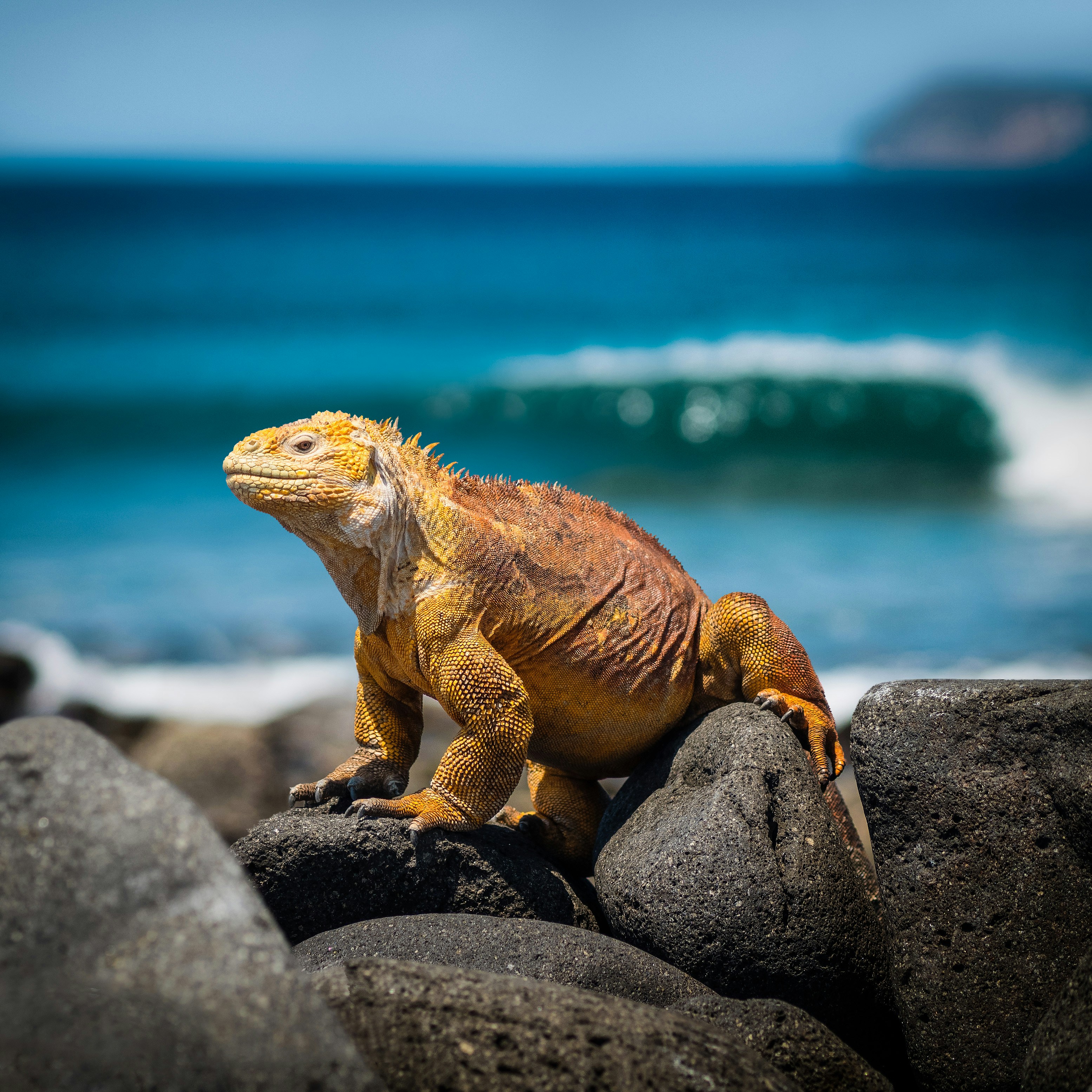 Galápagos Ecuador