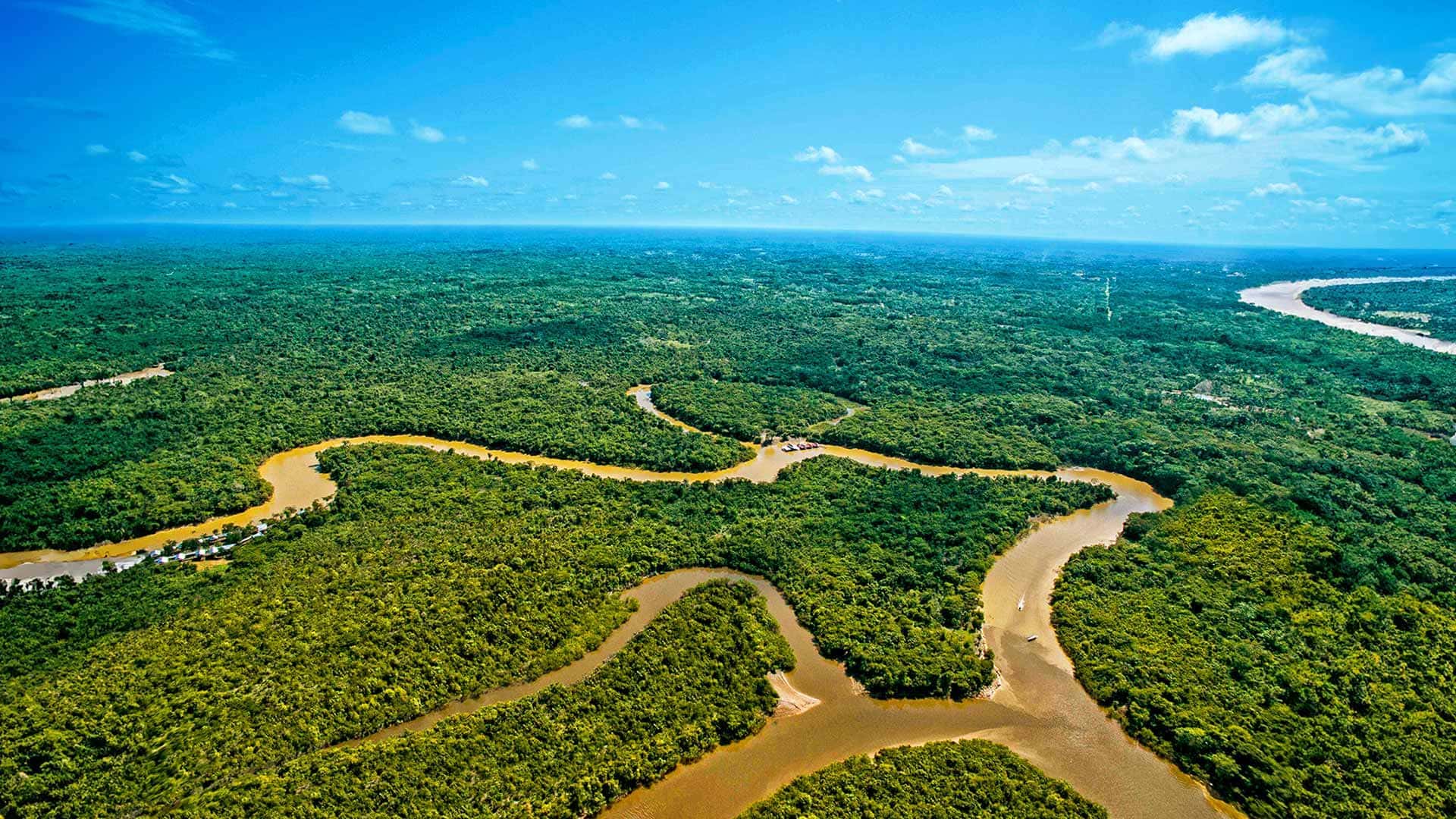 Paquete Amazonas Ecuador